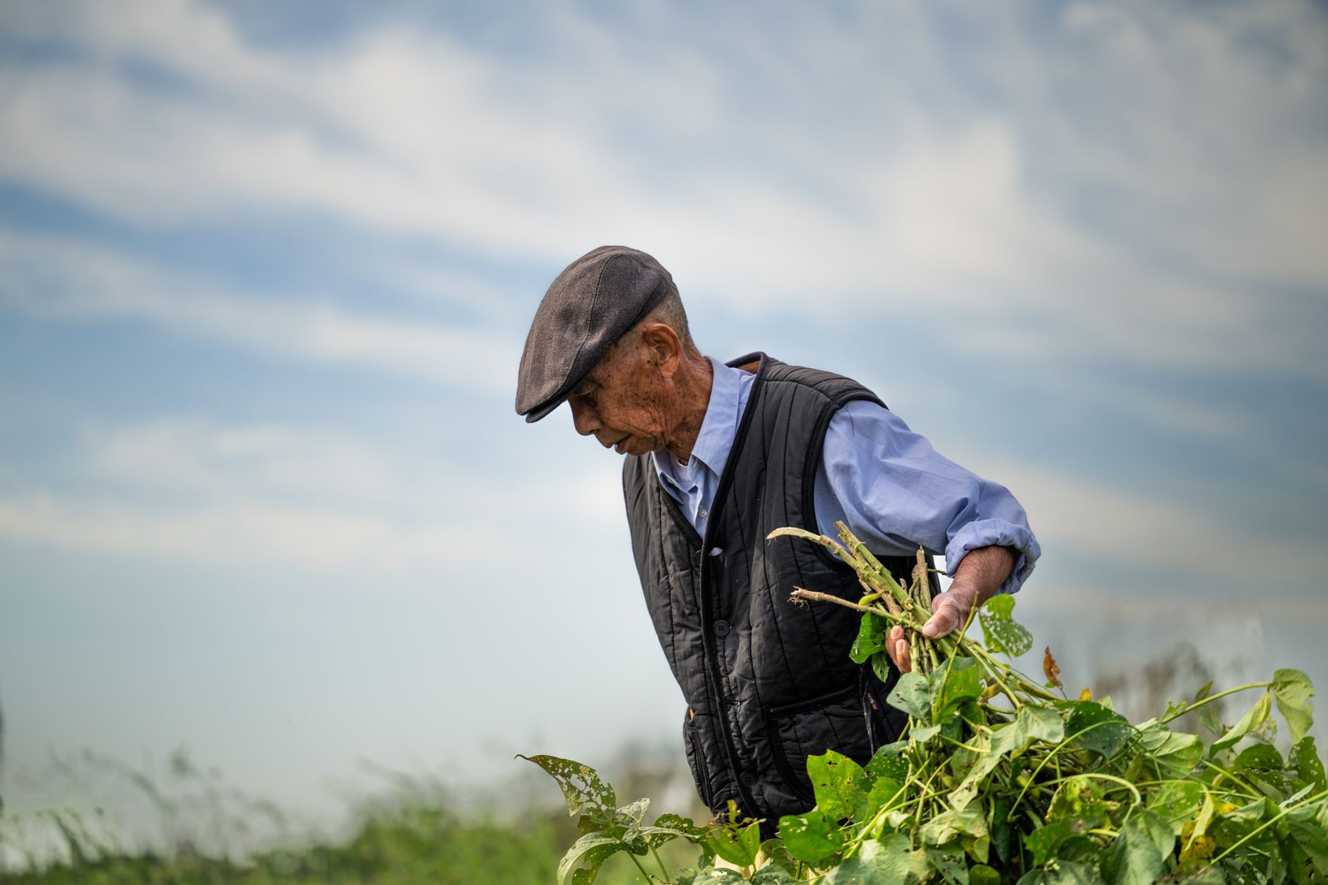 Farmer in his field